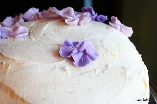 IMG_6292.stamp IMG_6292.stamp